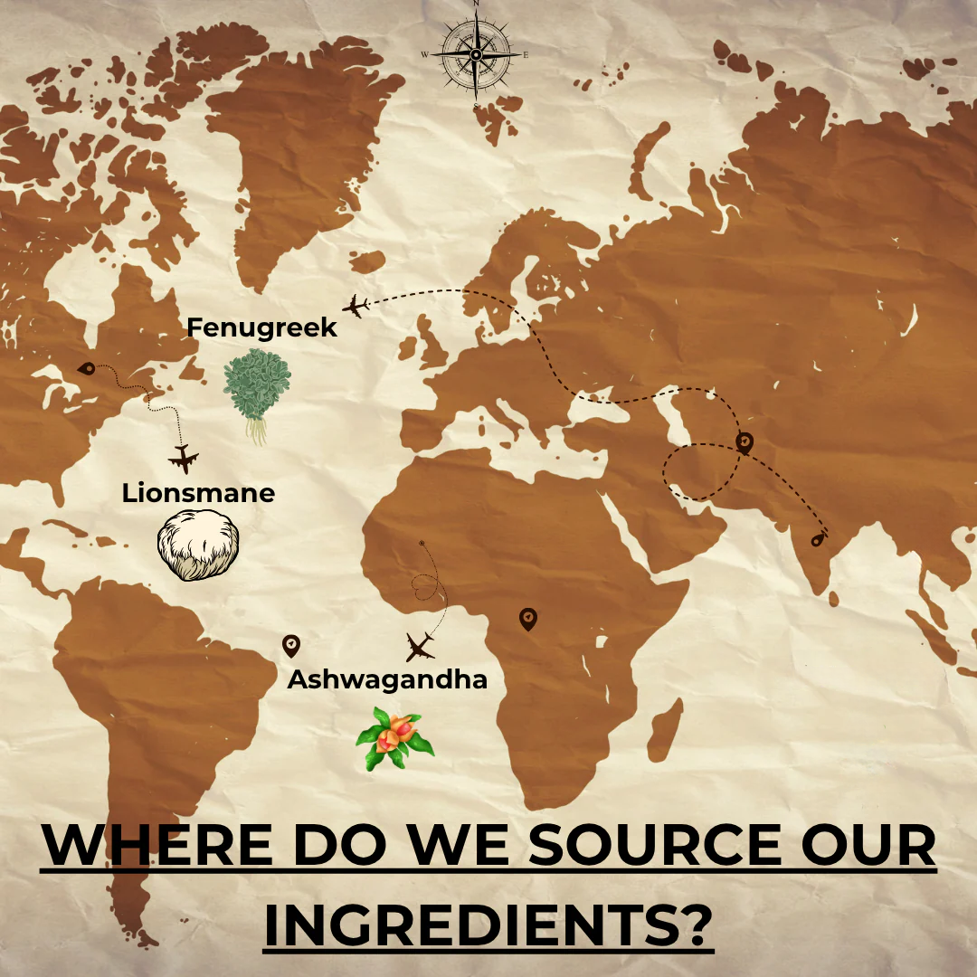 Total Support - 9 in 1