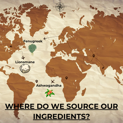 Total Support - 9 in 1